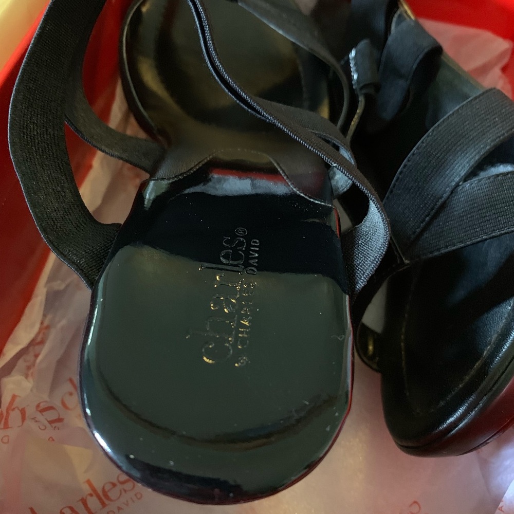 COPY - Charles by Charles David